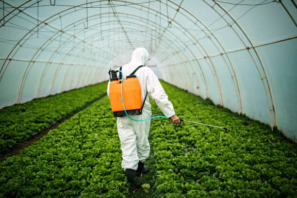 Best Pest Prevention Services  in Cheval, FL