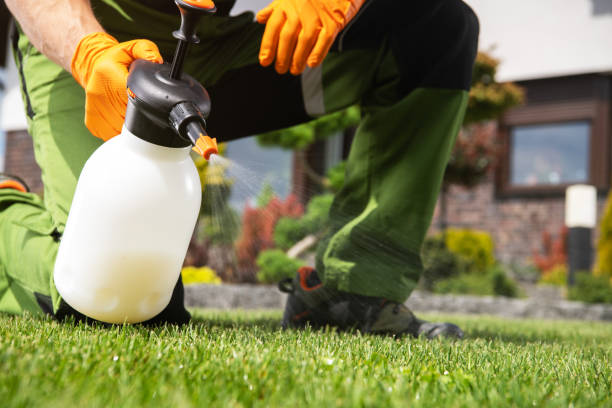 Best Best Pest Control Companies  in Cheval, FL