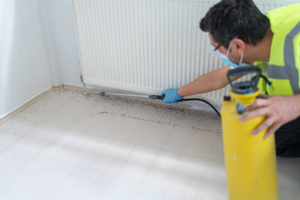 Best Exterminator Services  in Cheval, FL